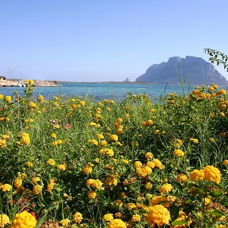 Il Borgo Aparthotel Porto San Paolo (Sardinia)